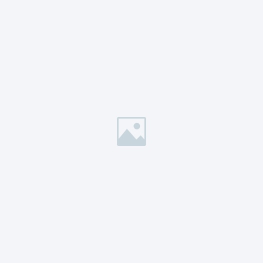 About 526x526 02.jpg